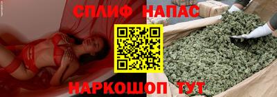 крисы Можайск