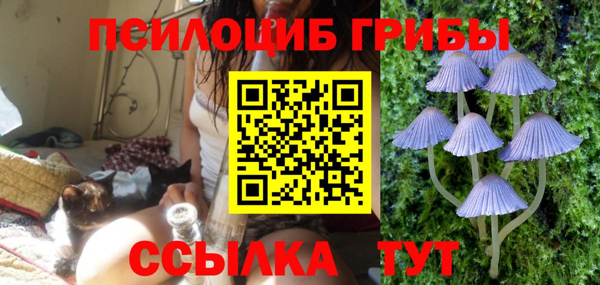 Псилоцибиновые грибы MAGIC MUSHROOMS Владикавказ