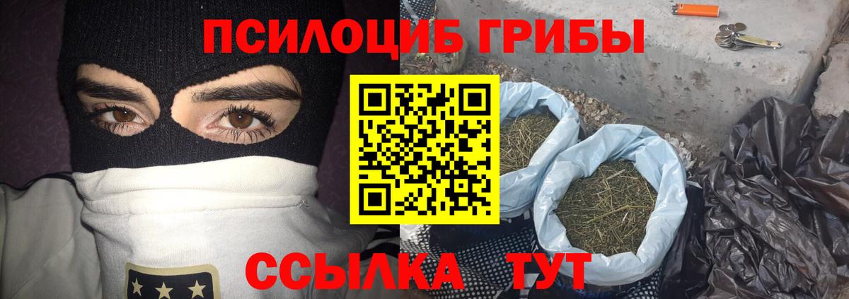 где купить   Псилоцибиновые грибы мухоморы  Вход с VPN  Владикавказ  Псилоцибиновые грибы Magic Shrooms 